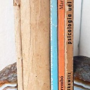 Lote de 5 Libros sobre Carlos Gardel y el Tango - imagen 4