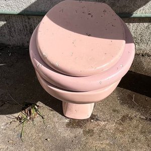 Juego de Artefactos para Baño en Loza Rosa: Pileta, Inodoro y Bidet - imagen 9