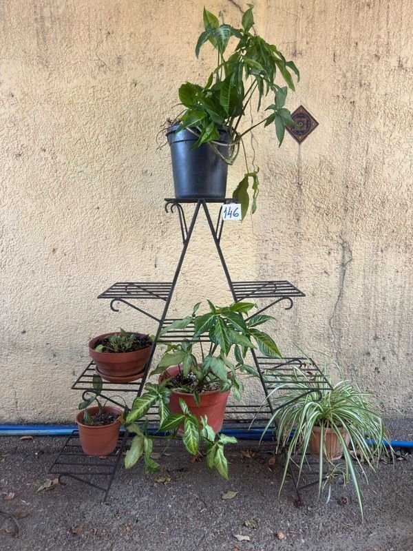 Item 892402 - Image 1