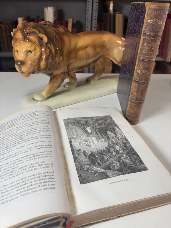 Item 885480 - Image 2