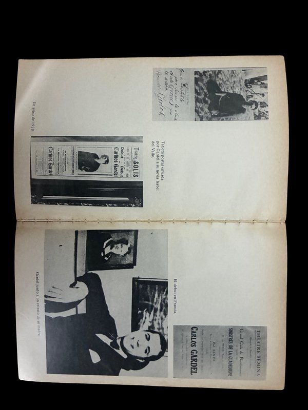 Libro Biografía Carlos Gardel por Edmundo Eichelbaum, Edición Vergara 1985 - imagen 1