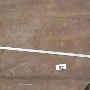 Lote de Cuero Nobuck Grueso Marrón - imagen 4