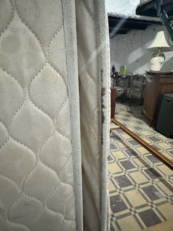 Item 874001 - Image 4