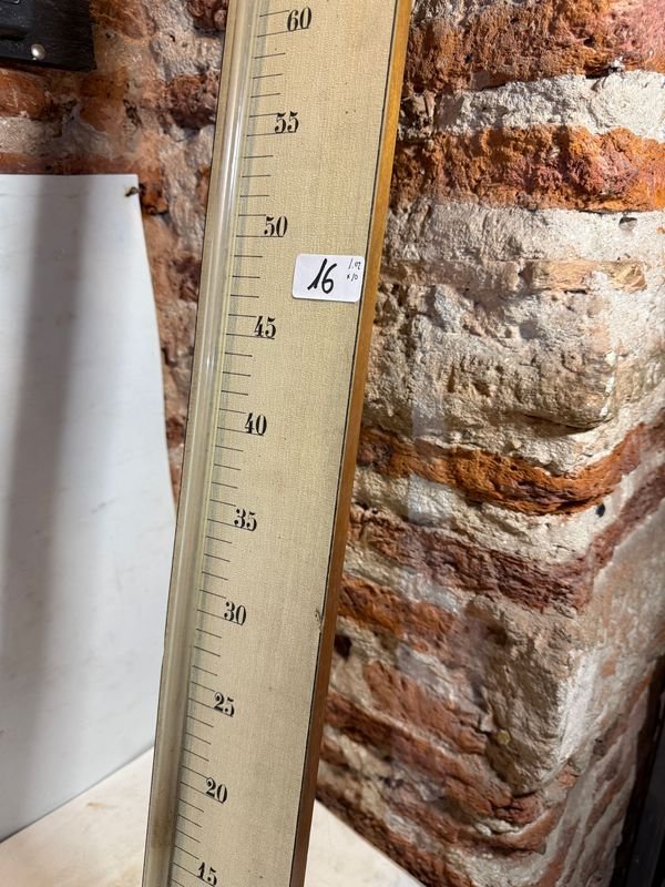 Item 905632 - Image 0