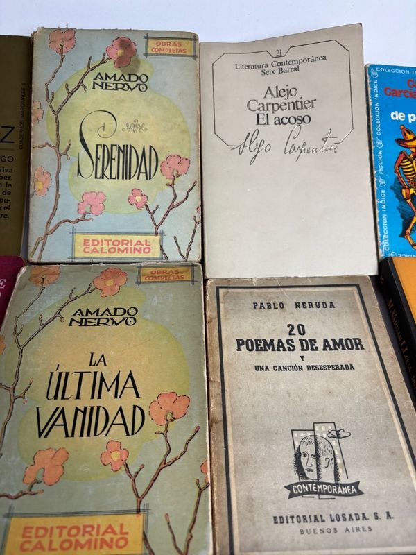 Colección de libros de literatura latinoamericana y universal - imagen 6