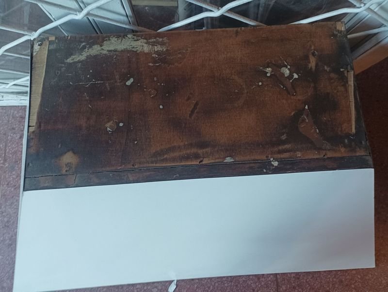 Exhibidor y campana de madera para exhibición - imagen 3