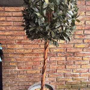Árbol Decorativo Artificial con Maceta Gris - imagen 4
