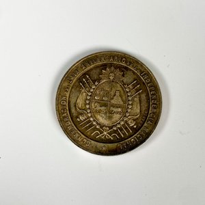 Medalla Conmemorativa de la Independencia de Uruguay 1894 - imagen 3