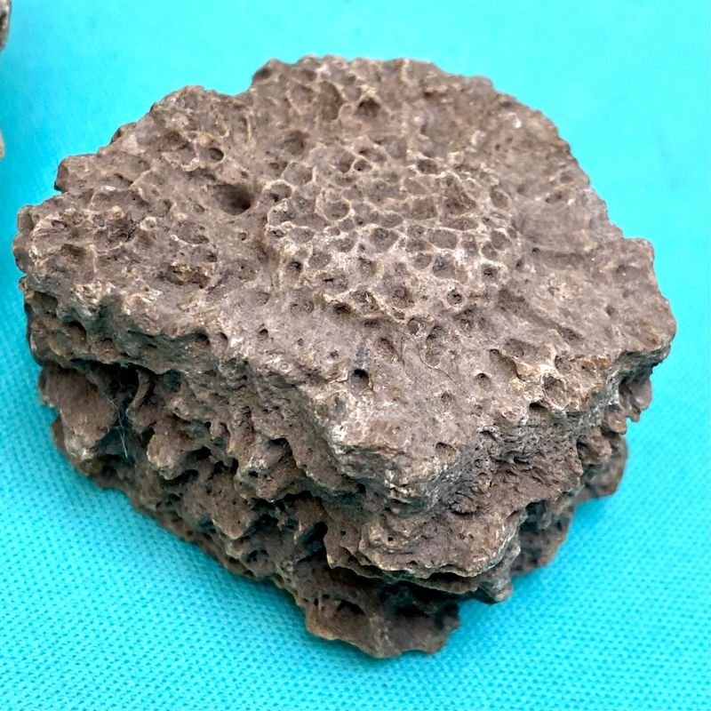 Item 895830 - Image 3