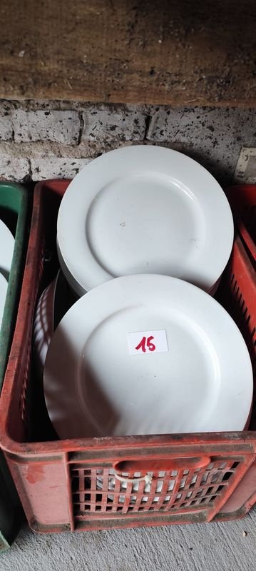 Lote de Platos de Loza Blancos