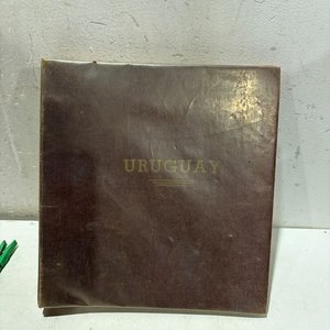 Lote anterior: Álbum de Sellos de Uruguay Vacío