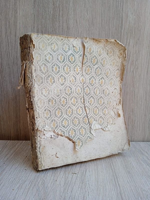 Libro antiguo en latín: HISTORIA DE LAS LEYES Y MAGISTRADOS DE LA REINO DE NÁPOLES