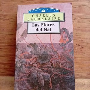 Lote anterior: Las Flores del Mal de Charles Baudelaire - Obra Completa