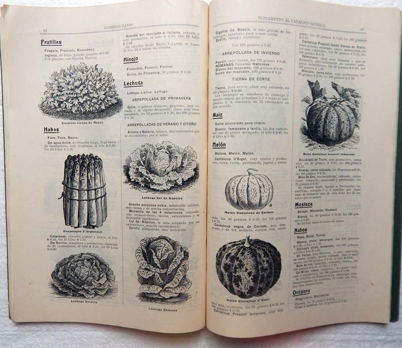 Catálogo de Árboles Frutales y Forestales del Domingo Basso - imagen 8