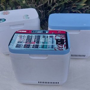 Lote de 3 Mini Heladeras Portátiles - imagen 1