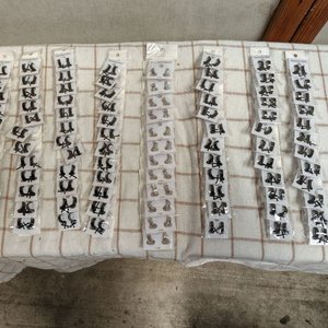 Remate Judicial: Vehículo Siniestrado y Bijouterie de Acero Inoxidable en Salto - imagen 8