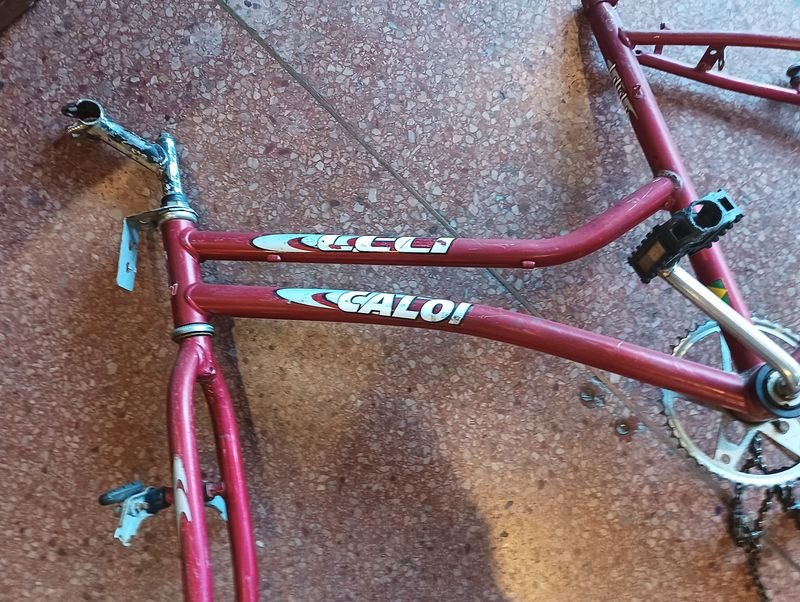 Cuadro bicicleta Caloi Ceci rodado 24 - imagen 2