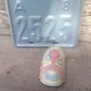 Lote anterior: Chapa y Emblema Metálico Vintage de Bicicleta "Rizcootti Montevideo"