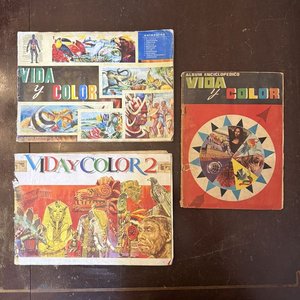 Álbumes "Vida y Color" Colección Enciclopédica Ilustrada - imagen 19