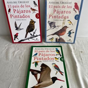 Aves del Uruguay: El País de los Pájaros Pintados - Colección Completa - imagen 2