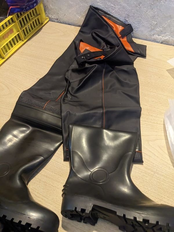 Item 890646 - Image 1