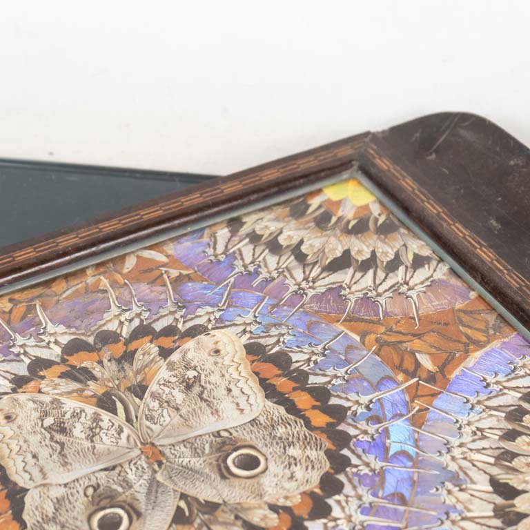 Item 2106416 - Image 1