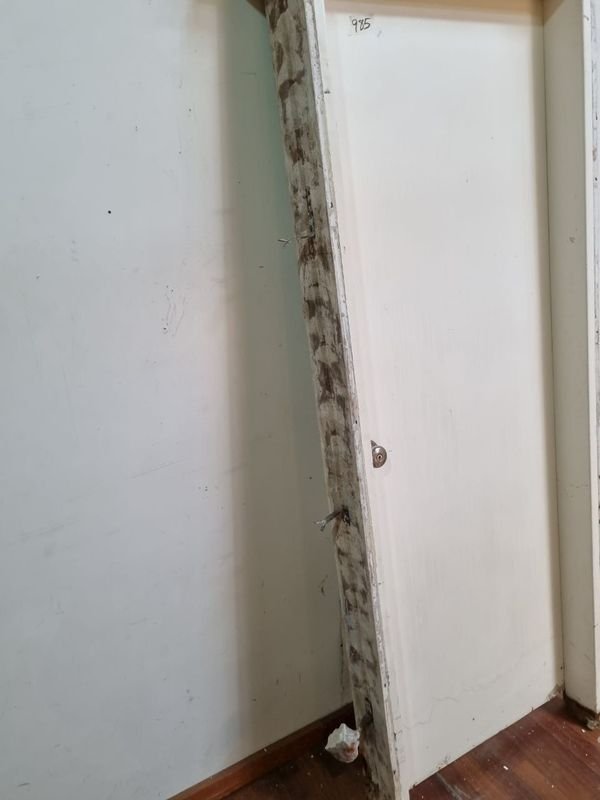 Item 862787 - Image 3