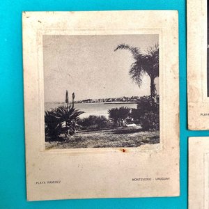 Lote de 5 Postales: Puerto de Montevideo y Vistas Urbanas - imagen 3