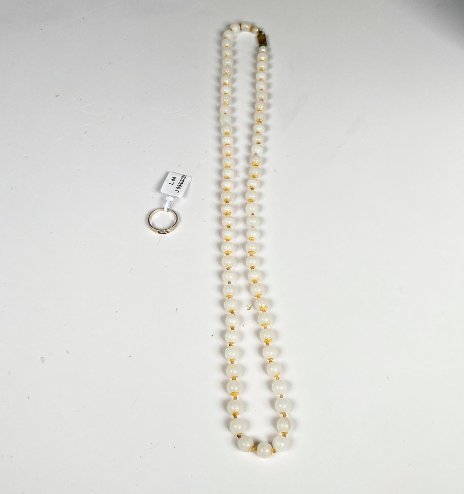 Item 505261 - Image 0