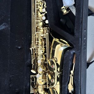 Saxofón Alabama Dorado con Estuche - imagen 1