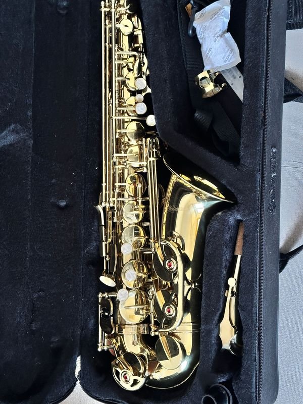 Saxofón Alabama Dorado con Estuche