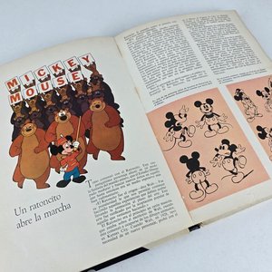 Maravillas de los Dibujos Animados de Walt Disney - Ediciones Gaisa - imagen 6
