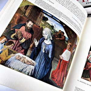 Dos Tomos "Historia de la Pintura" Editorial Vergara Barcelona - imagen 6