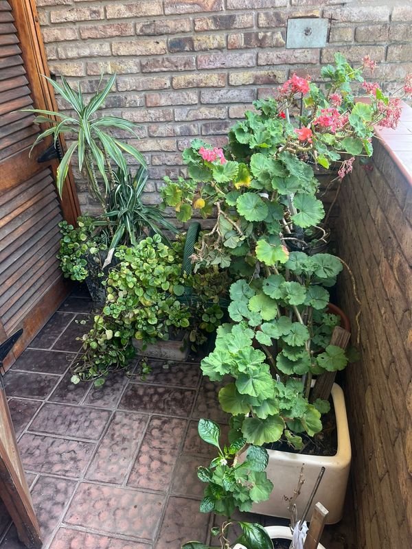 Item 867619 - Image 5