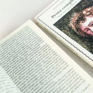 2 Libros Arthur Rimbaud: Prosa Completa y Poesías Completas - imagen 2