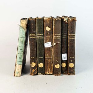 Lote anterior: 7 Tomos Diccionario Universal de Historia y Geografía, Tapa Dura (Madrid 1848)