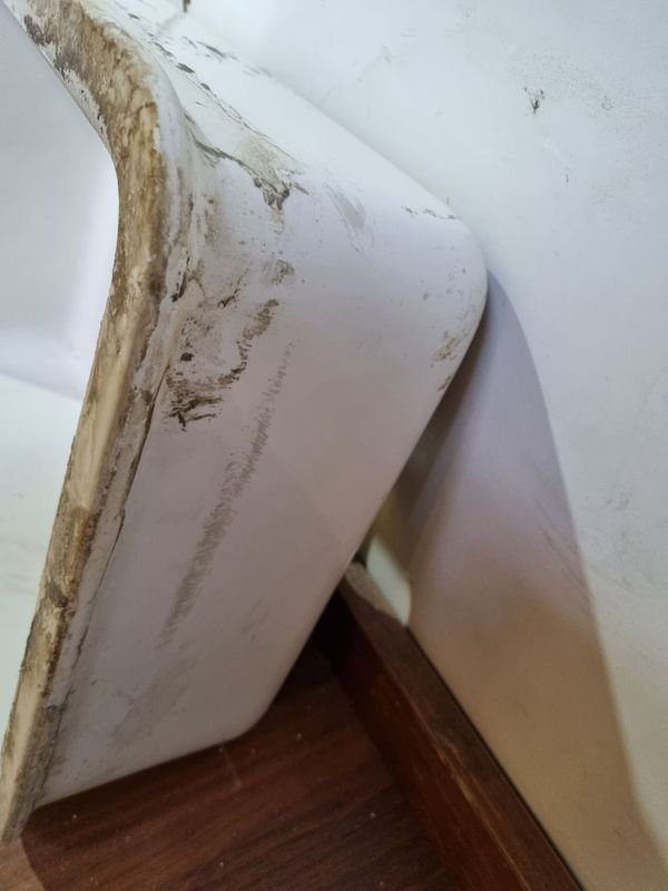 Item 866793 - Image 2