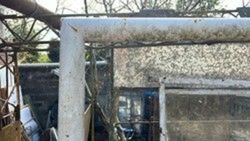 Item 897095 - Image 1