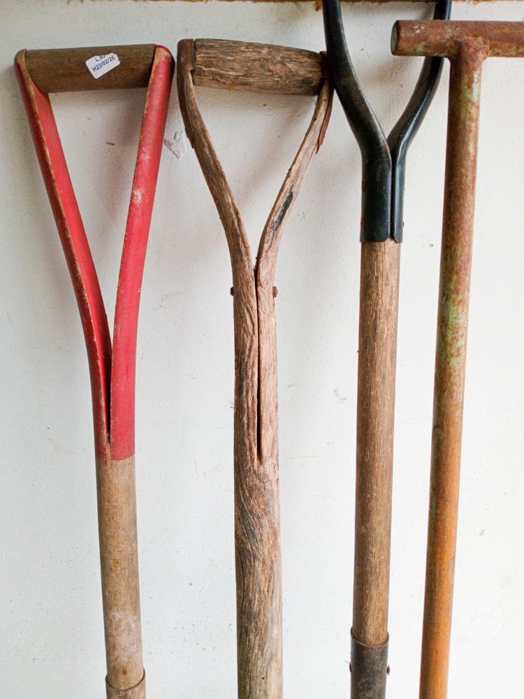 Item 501134 - Image 2