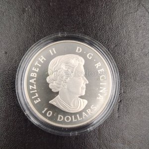Moneda de Plata Canadiense "Great Blue Heron" 2017 - 10 Dólares - imagen 6