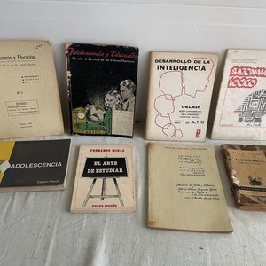 Lote anterior: Lote de Libros sobre Adolescencia, Educación y Psicología
