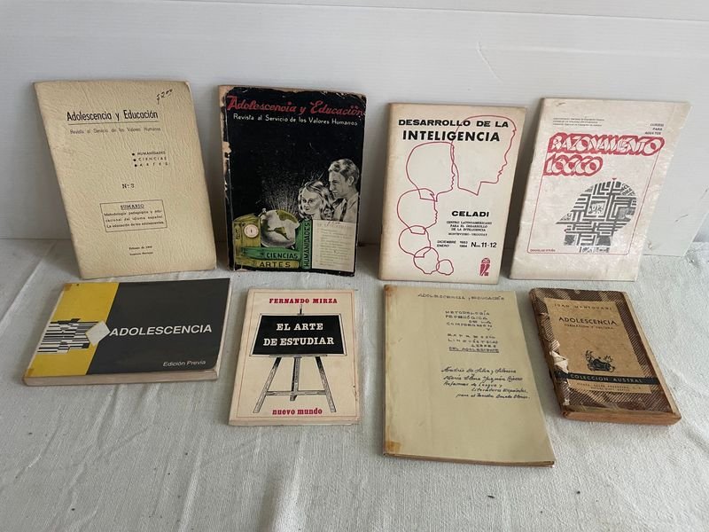 Lote de Libros sobre Adolescencia, Educación y Psicología