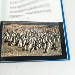 Momentos Estelares de la Naturaleza de América (El Cono Sur) por Borja Cardelús - Libro Tapa Dura - imagen 2