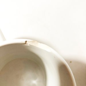 Lote de 48 Tazas Variadas con Diseños Divertidos y Patrióticos - imagen 6