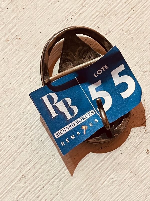 Pieza de joyería con hebilla en plata y oro - imagen 3