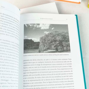 Lote de 4 Libros de Filosofía: Sartre, Hobbes, Foucault, Derrida, Gramsci y Althusser - imagen 2