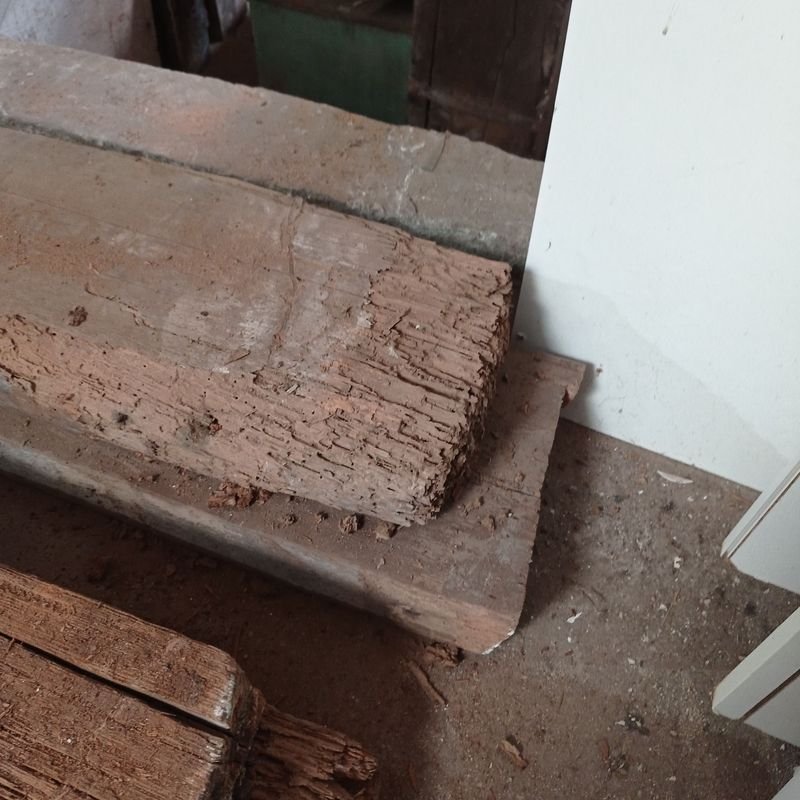 Dos tirantes de pinotea con rastros de polilla para decoración - imagen 3