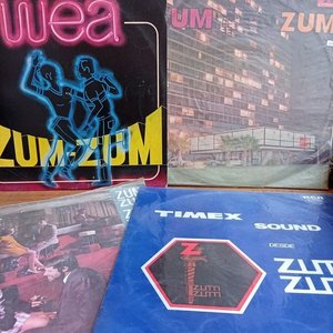 Lote anterior: Lote de 4 discos de vinilo "ZUM - ZUM" (1968-1980)