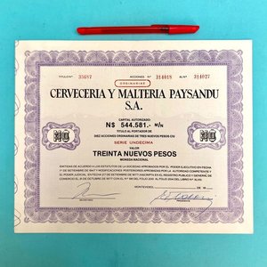 Lote anterior: Acción Cervecería y Maltería Paysandú S.A. - Serie Undécima - Década 1980