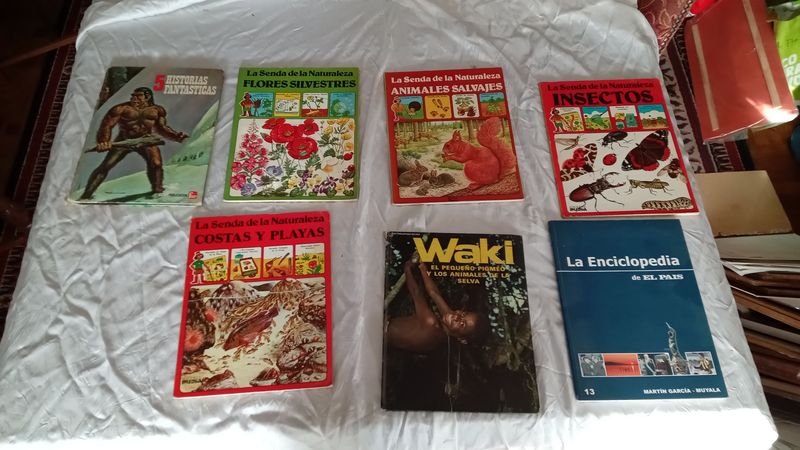 Item 891462 - Image 1